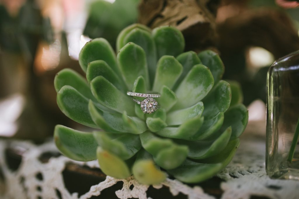 One of my favorite destination wedding pictures are wedding rings creatively displayed. 9