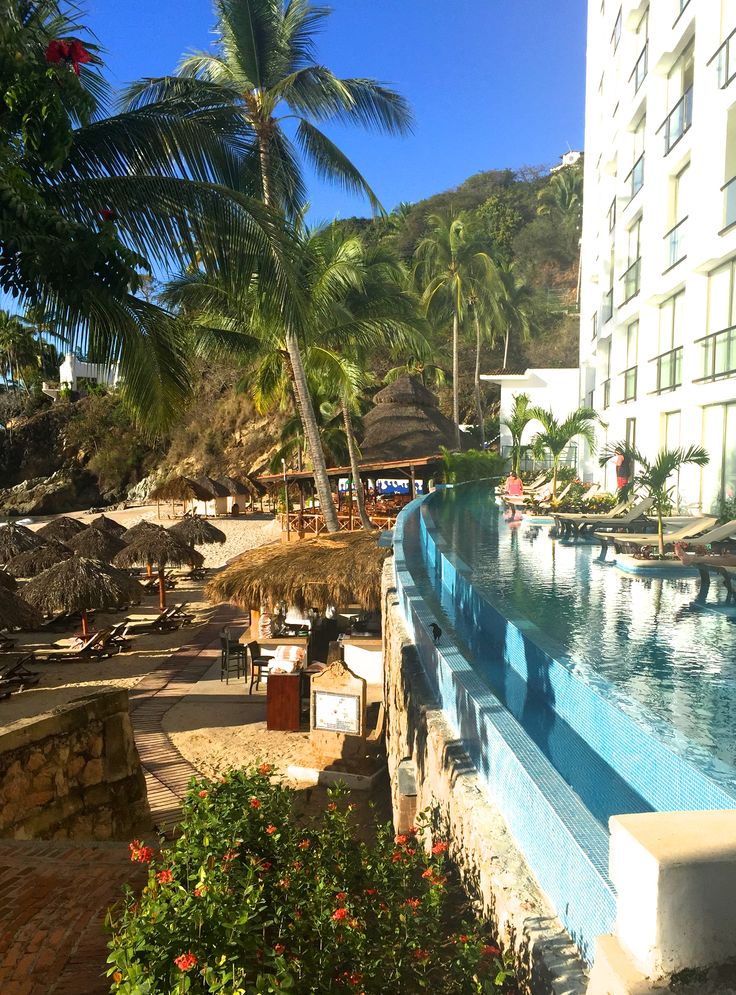 3Hyatt Ziva PV swim up suites 