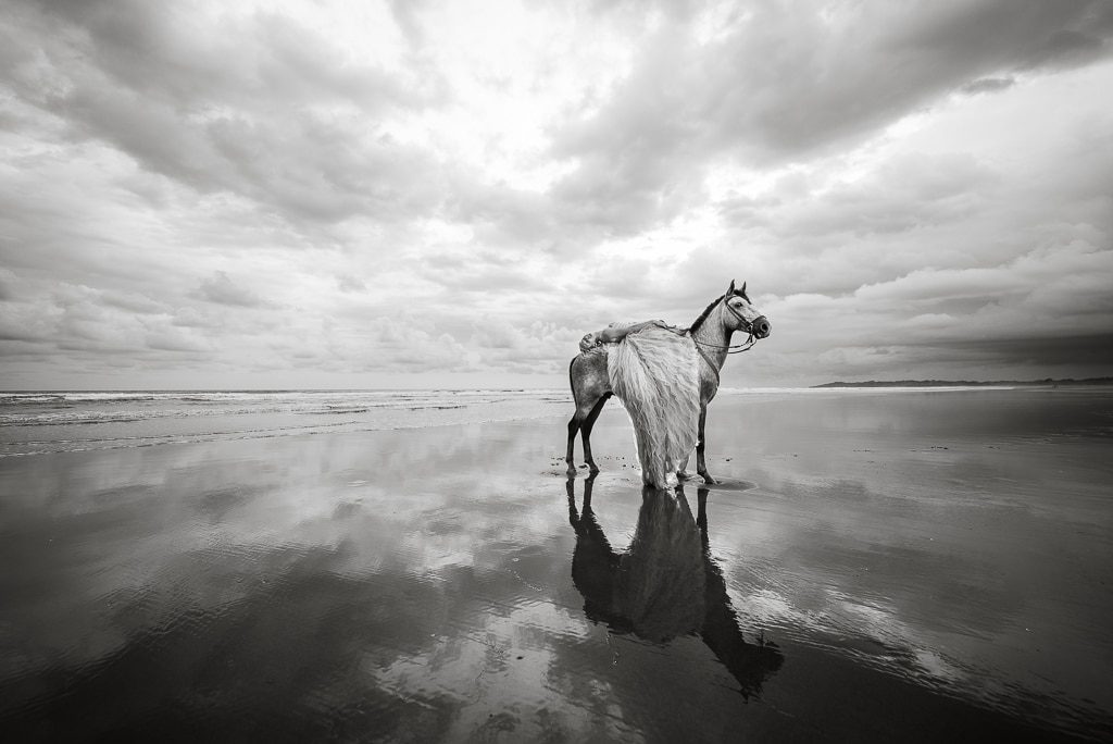 BiDrop Liz Moore