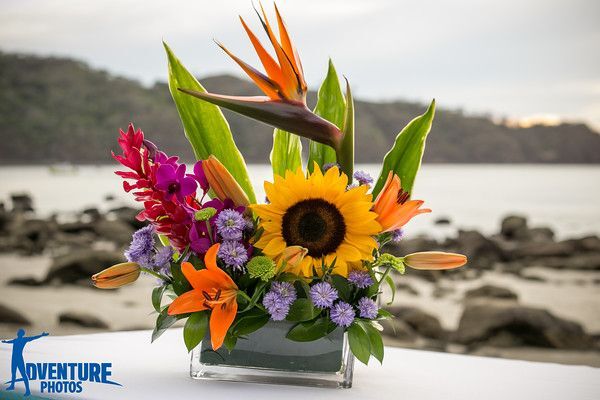 9Dreams LA Romana flower decor on beach 