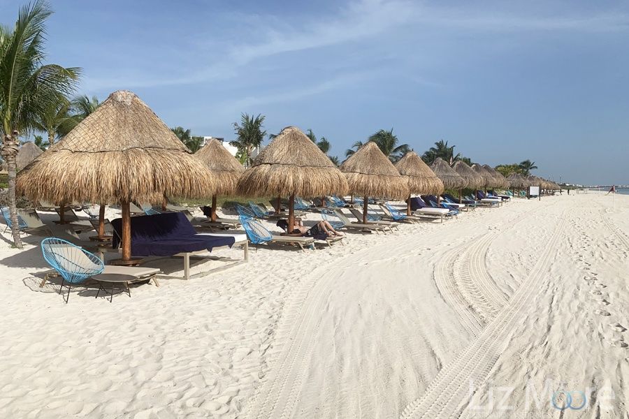 Largest Sandy white beach front with Beach loungers and palapal umbrellas