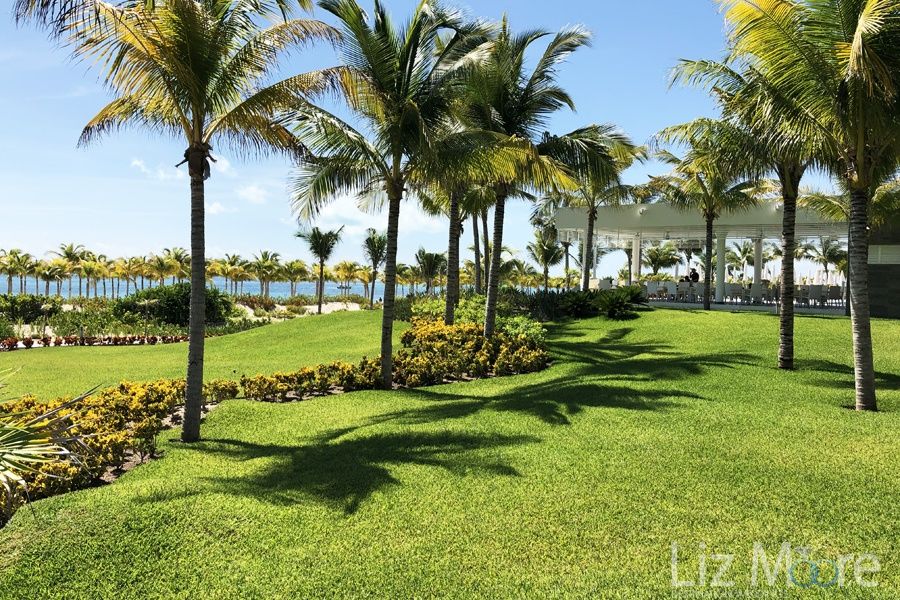 Lush green  grounds close to the ocean with surrounding palm trees