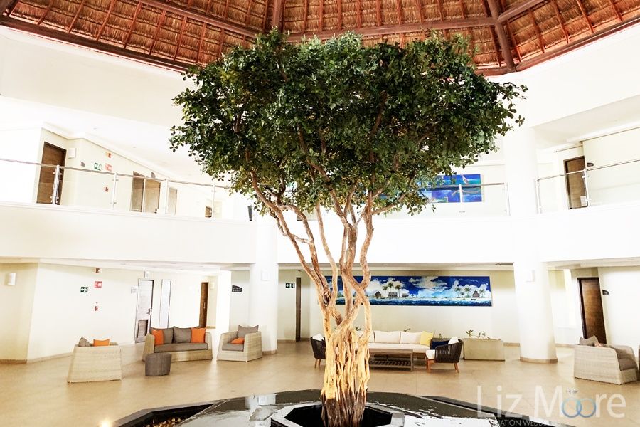 Main lobby area with tree in the center as decoration