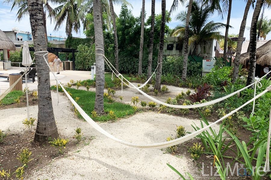 beach lounge hammocks Located close to the ocean