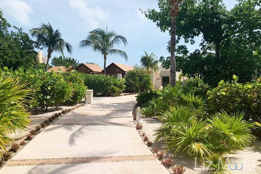 walkway to beach Surrounded by smaller palm shrubs and sandAnd stone walkway