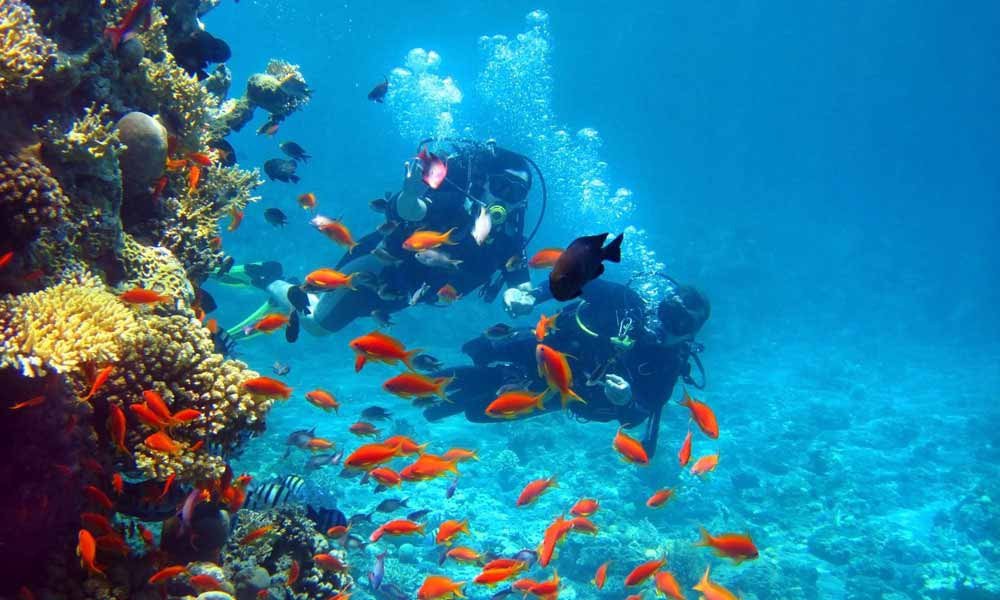Snorkeler is looking at red fish under the water in scuba diving in equipment