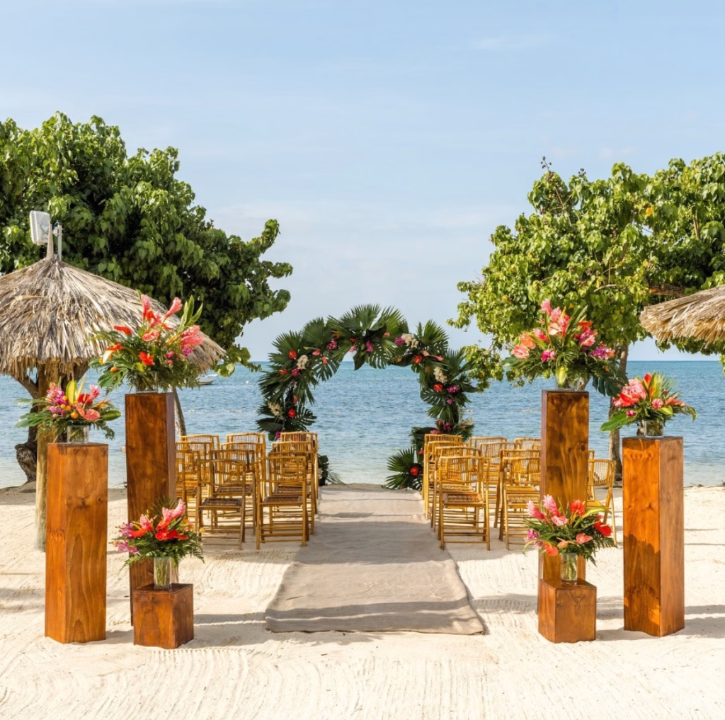 Wedding Planner Cabo San Lucas